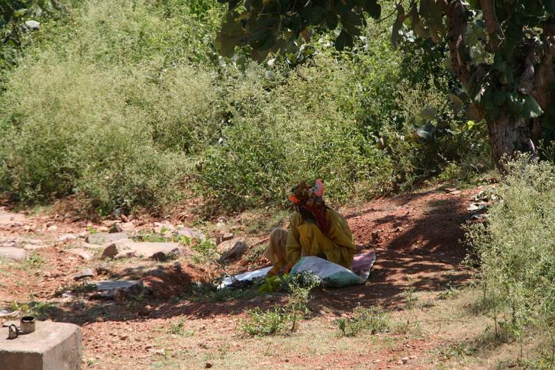 India & Nepal 2011 - 1103